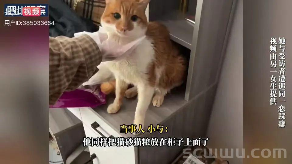 男子以喂猫为由多次诱骗陌生女生到家里,疑似裸体躺在塑料袋里等着被踩… 新闻 社会 男子 以喂猫 为由 多次诱骗 陌生女生 到家里 疑似裸体 躺在 塑料袋里 等着被踩 第14张 男子以喂猫为由多次诱骗陌生女生到家里,疑似裸体躺在塑料袋里等着被踩… 新闻 社会 男子 以喂猫 为由 多次诱骗 陌生女生 到家里 疑似裸体 躺在 塑料袋里 等着被踩 第14张