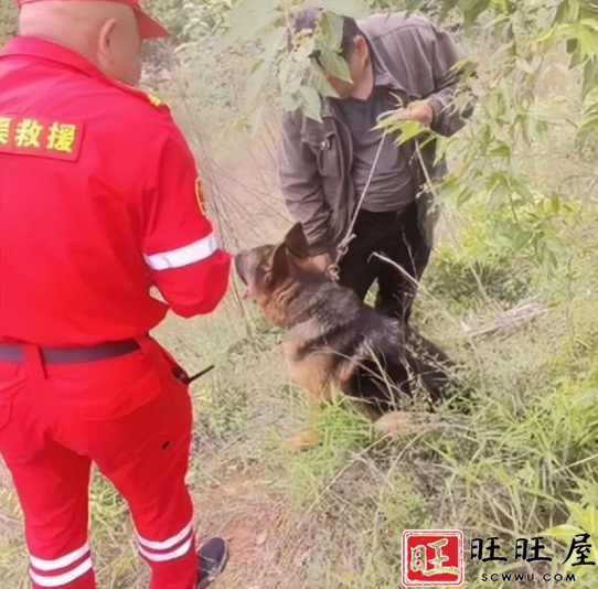 22岁女子郭满星出门取快递后突然失踪了,其手机信号曾出现在山沟中 新闻 社会 22岁 女子 郭满星 出门 取快递 失踪 手机信号 出现 山沟中 第6张 22岁女子郭满星出门取快递后突然失踪了,其手机信号曾出现在山沟中 新闻 社会 22岁 女子 郭满星 出门 取快递 失踪 手机信号 出现 山沟中 第6张