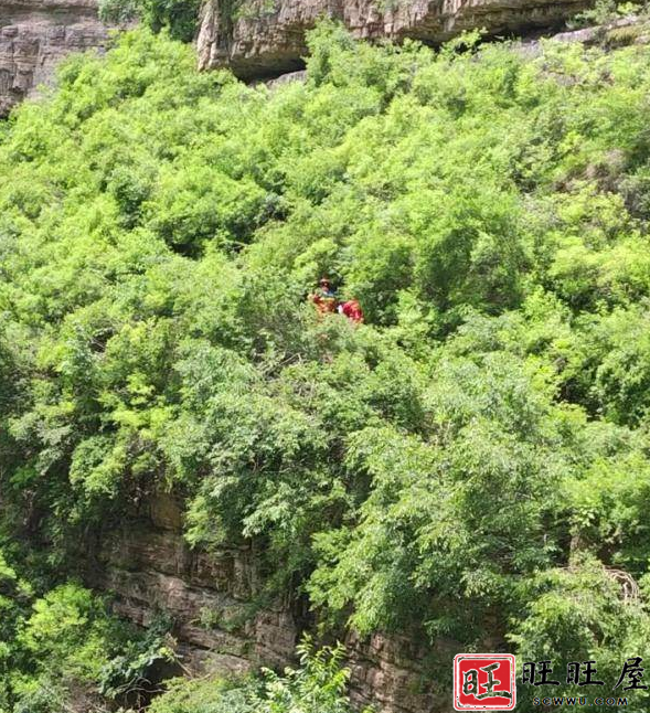 22岁女子郭满星出门取快递后突然失踪了,其手机信号曾出现在山沟中 新闻 社会 22岁 女子 郭满星 出门 取快递 失踪 手机信号 出现 山沟中 第5张 22岁女子郭满星出门取快递后突然失踪了,其手机信号曾出现在山沟中 新闻 社会 22岁 女子 郭满星 出门 取快递 失踪 手机信号 出现 山沟中 第5张